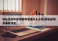 硅谷投资的区块链项目是什么公司[硅谷区块蛋最新消息]